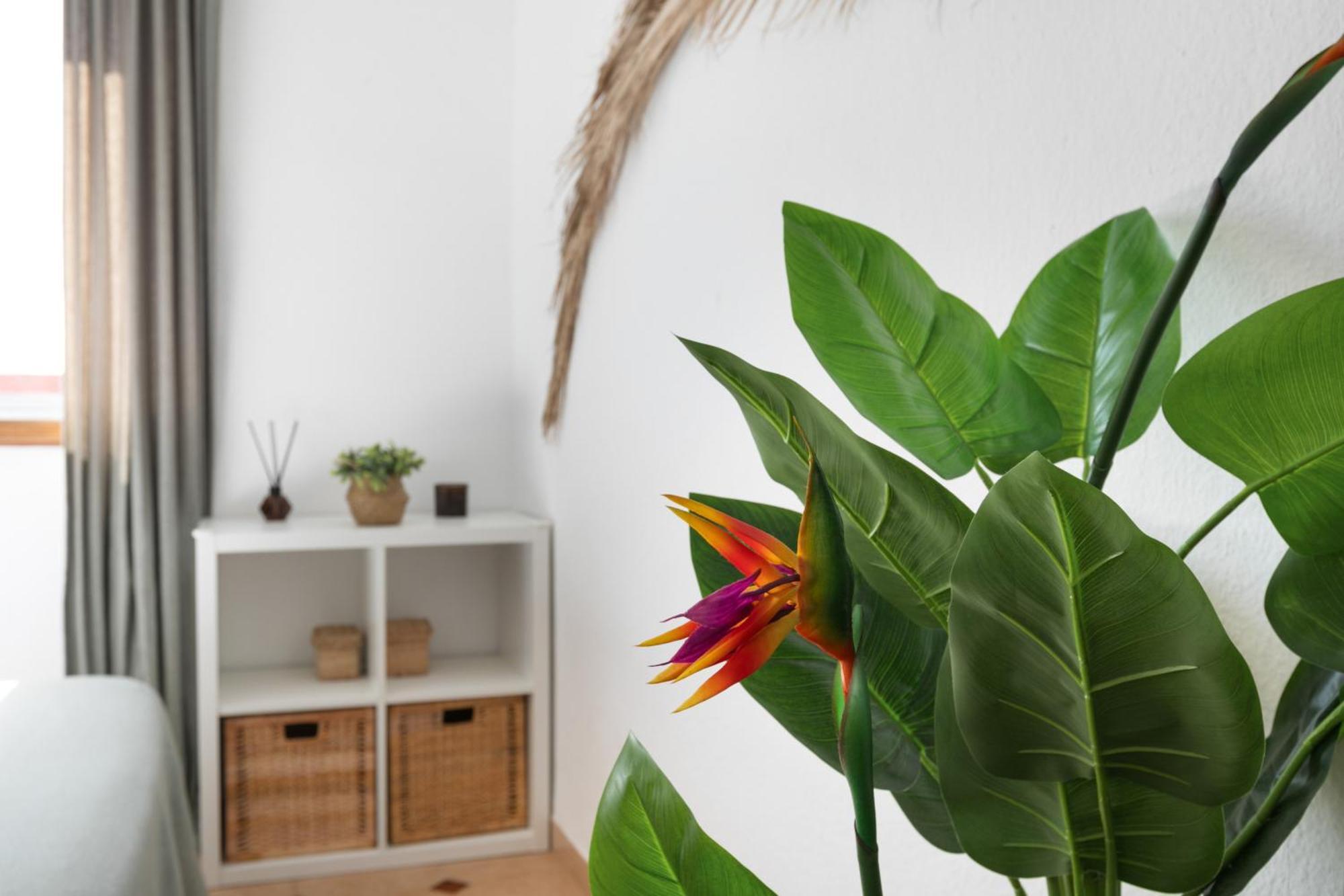 Apartmán Casa Camacho La Cuesta  Exteriér fotografie
